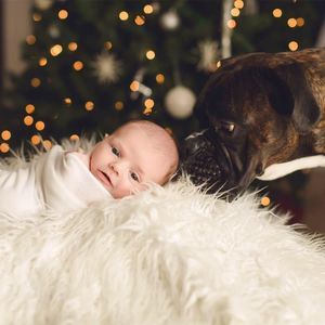 Meet your Posher, Alison whitney