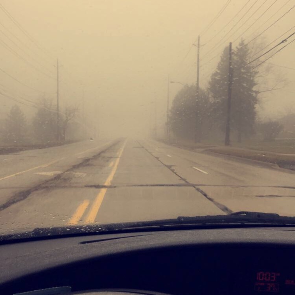 Meet your Posher, Courtney