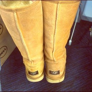 Tall Ugg Boots