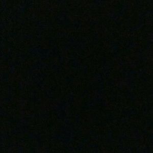 Meet your Posher, Omari