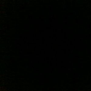 Meet your Posher, Luis