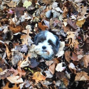 Meet your Posher, Tabitha