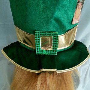 St Patrick's Day Hat with Beard