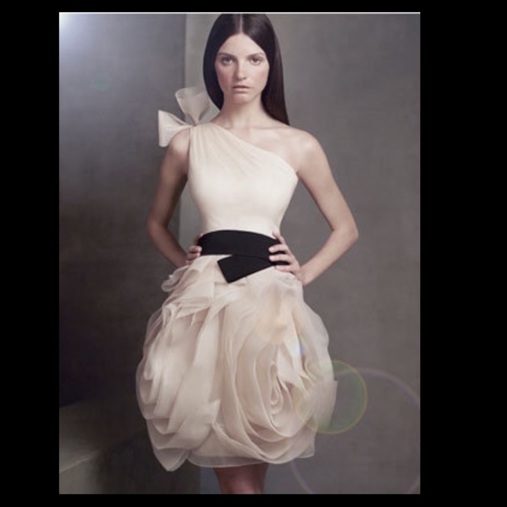 Vera Wang Bridesmaid Dress - w/o black belt