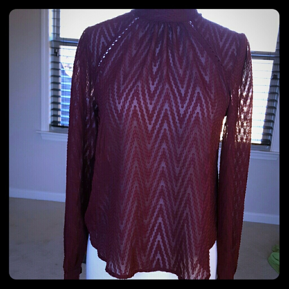 [FREE PEOPLE]NWOT Sheer Burgundy embroidered top