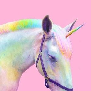 Meet your Posher, Bianca