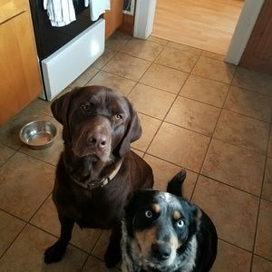 Meet your Posher, Leslie