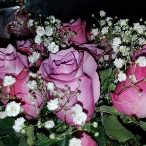 Meet your Posher, Juliet