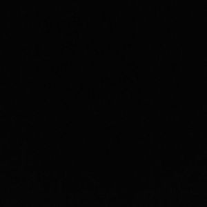 Meet your Posher, Parker