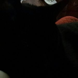 Meet your Posher, Diana