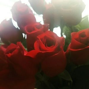 Meet your Posher, Rashida