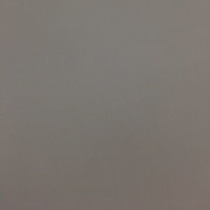 Meet your Posher, Dasha