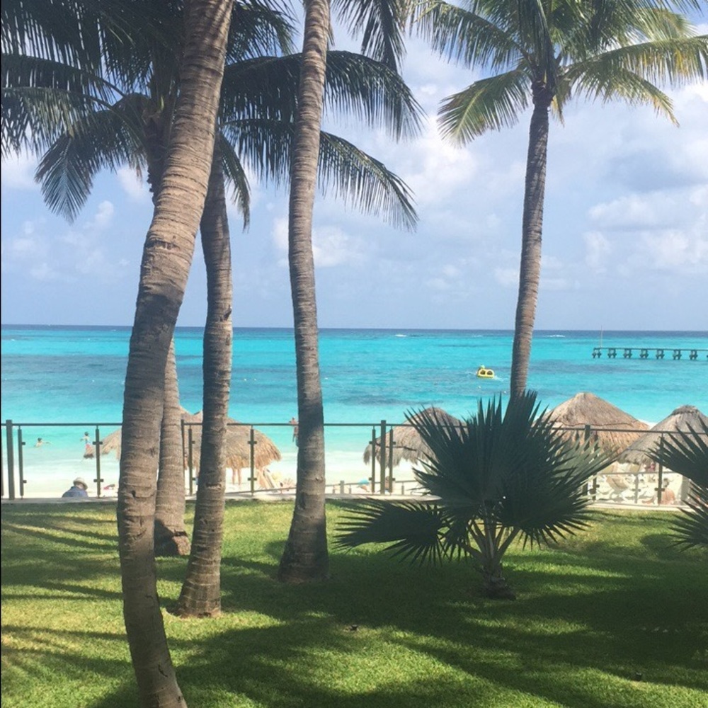 Meet your Posher, Bree