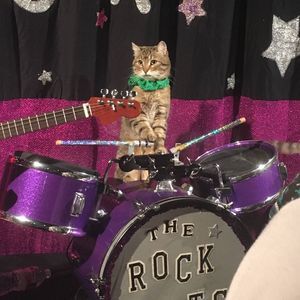 Meet your Posher, Soren