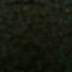 Meet your Posher, Timothy