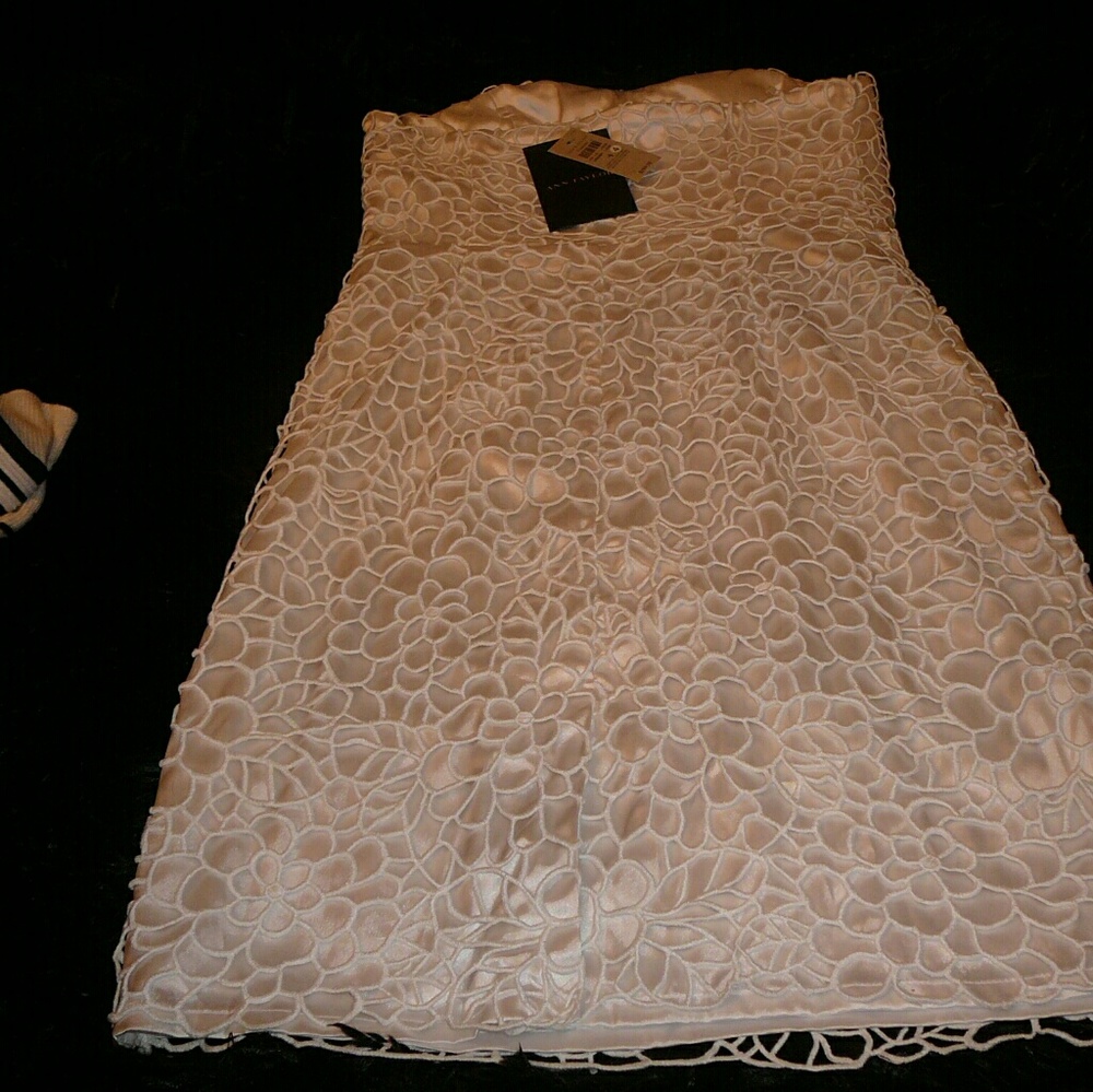 Ann Taylor Strapless Dress NWT $295 Size 4