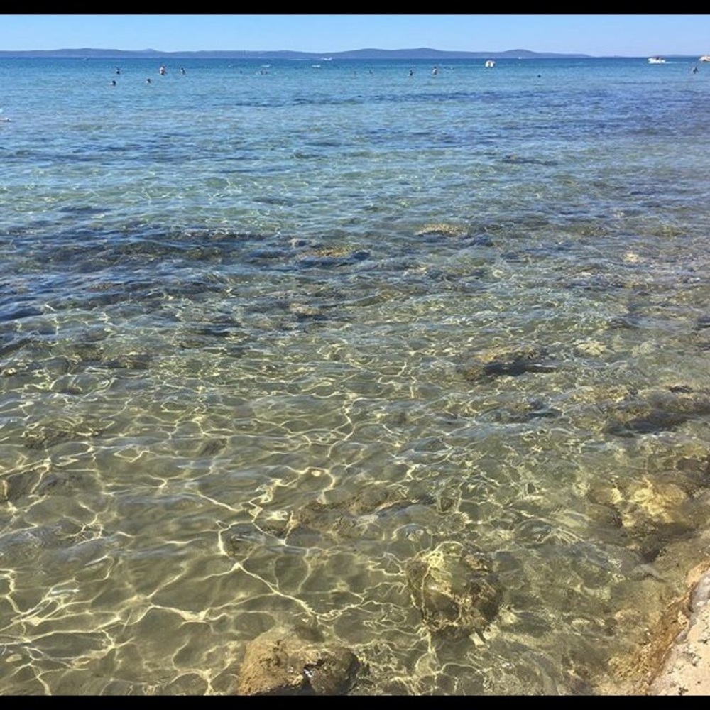 Meet your Posher, Paula