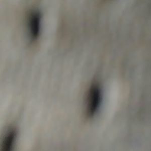 Meet your Posher, Rob