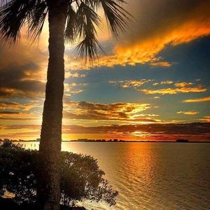 Meet your Posher, Marla