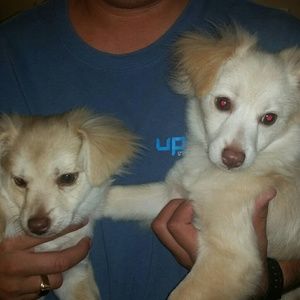 Meet your Posher, Damaris