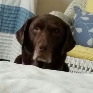 Meet your Posher, Janine