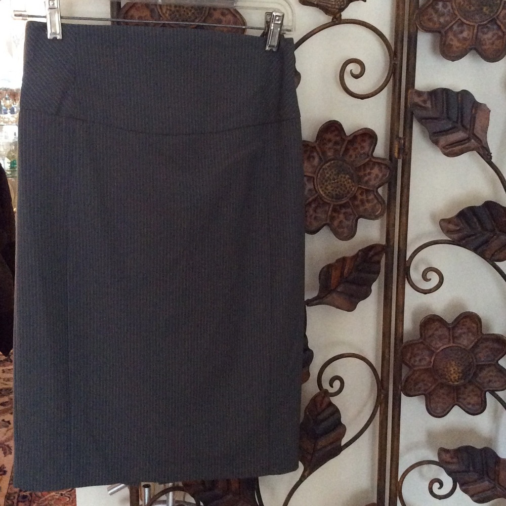 Express skirt