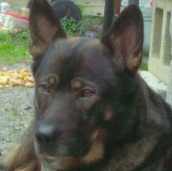 Meet your Posher, Michelle - Picture 1 of 1