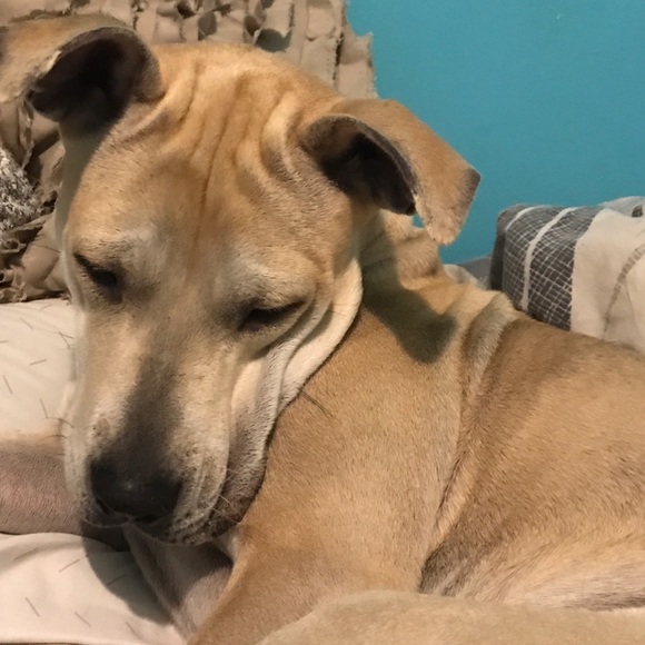 Meet your Posher, Aaron - Picture 1 of 1