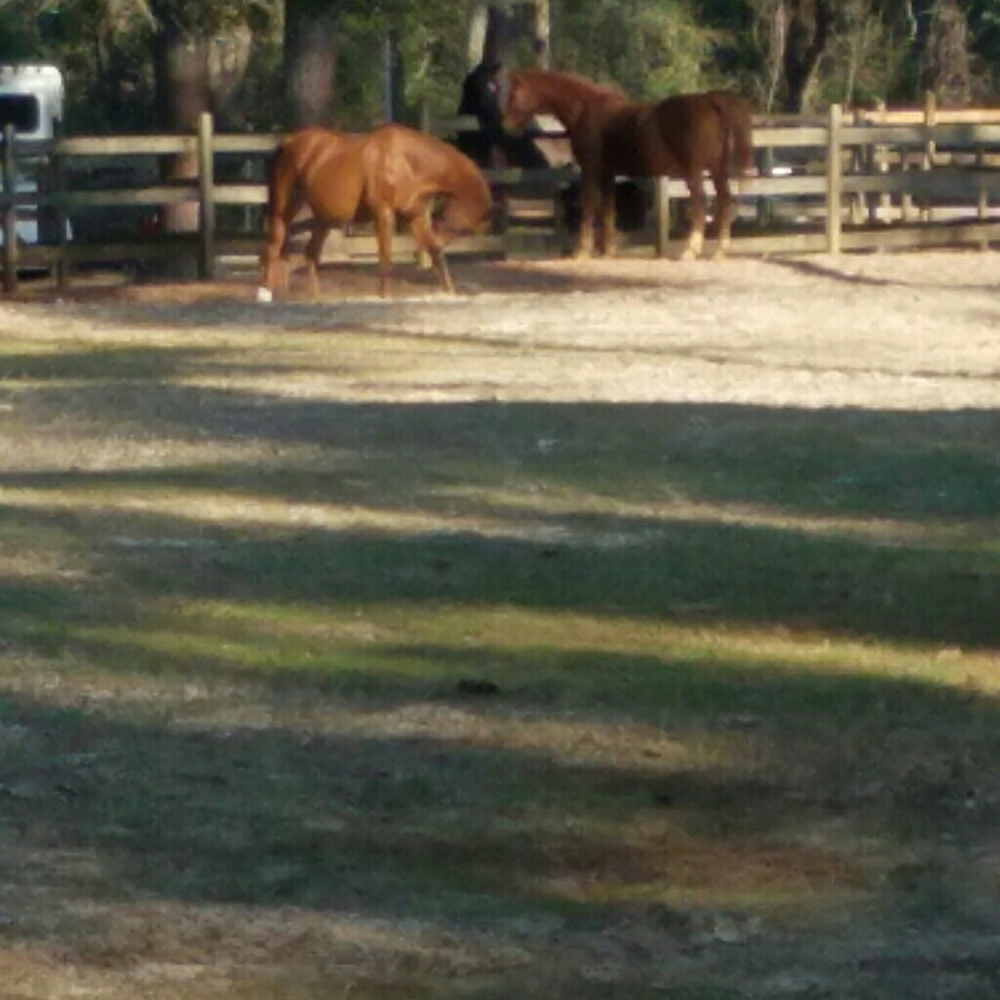 Meet your Posher, Jan