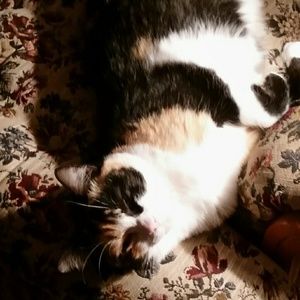 Meet your Posher, Tonia