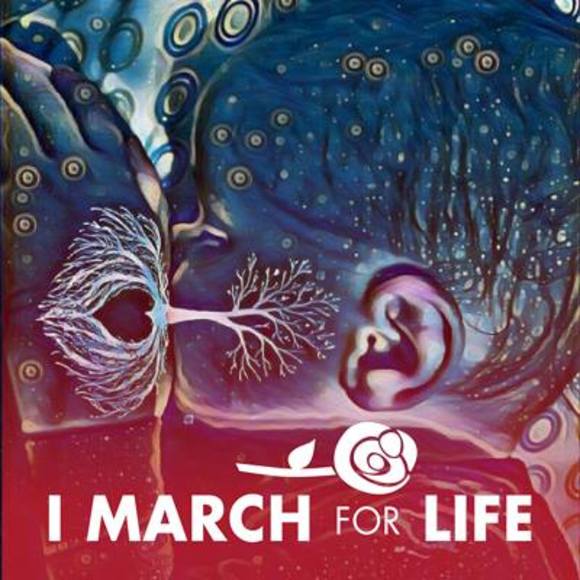 Meet your Posher, Amanda - Picture 1 of 1