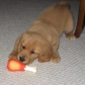 Meet your Posher, Terri