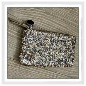Loft Sequin Bag/Pouch