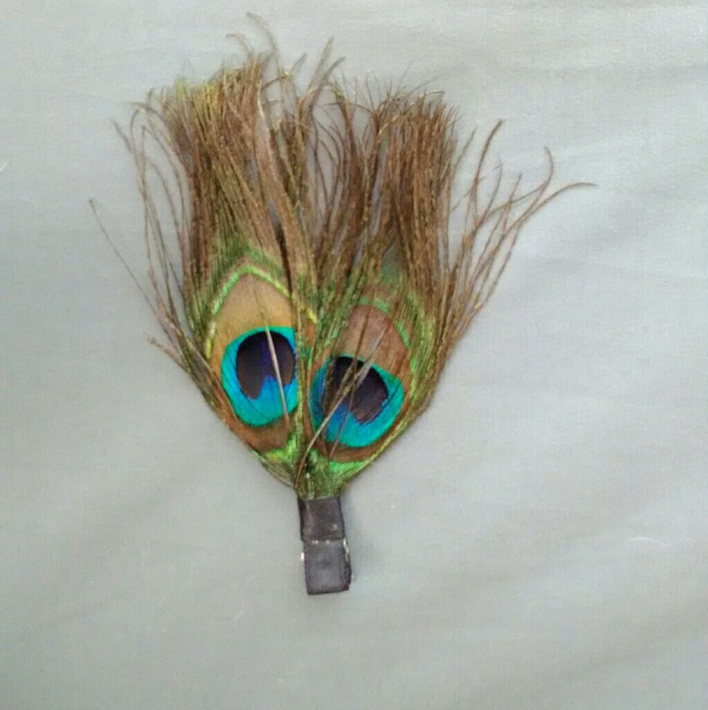 Peacock Hair Clip Dual Feather