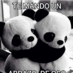 Meet your Posher, Genesis