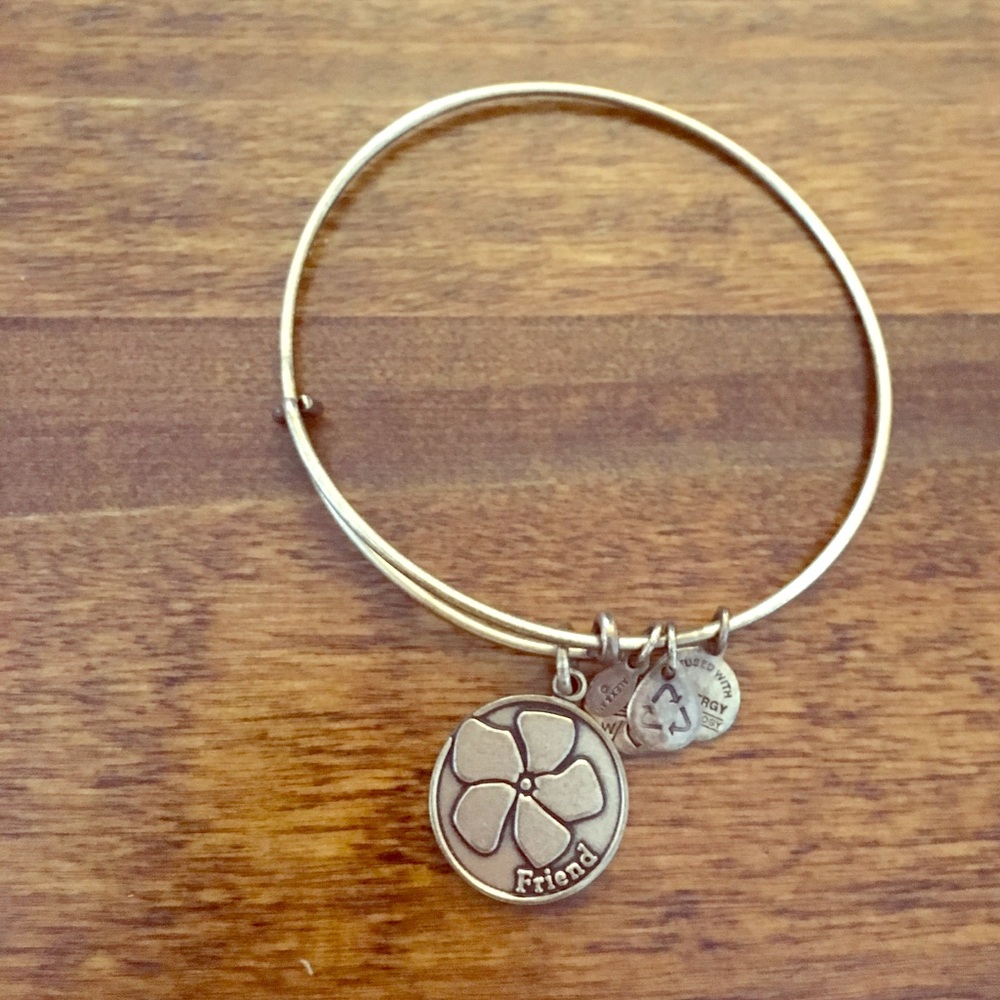 Gold Alex and Ani charm bracelet