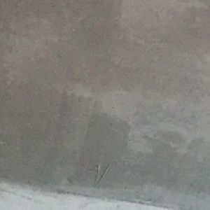 Meet your Posher, Paige