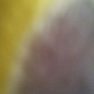 Meet your Posher, Ivan