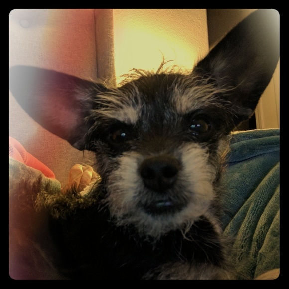 Meet your Posher, Kelly - Picture 1 of 1