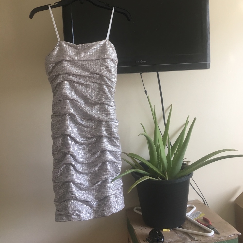 Silver dress