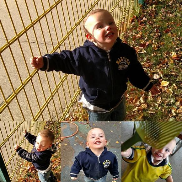 Meet your Posher, Jayce - Picture 1 of 1