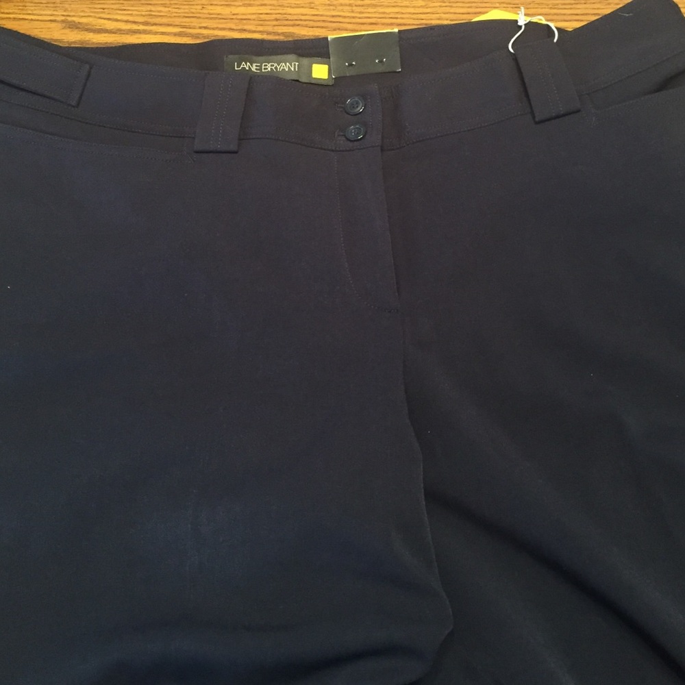 Lane Bryant Houston pants