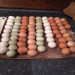 Meet your Posher, Cristy