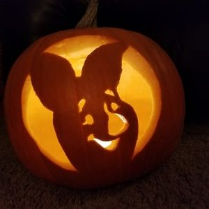 Meet your Posher, Piper