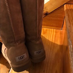 Tall chestnut uggs
