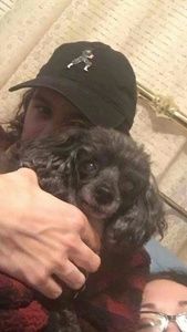 Meet your Posher, Ryan