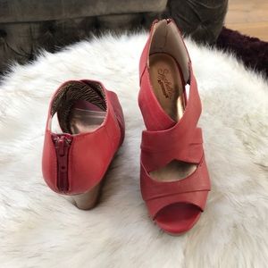 Seychelles wedge