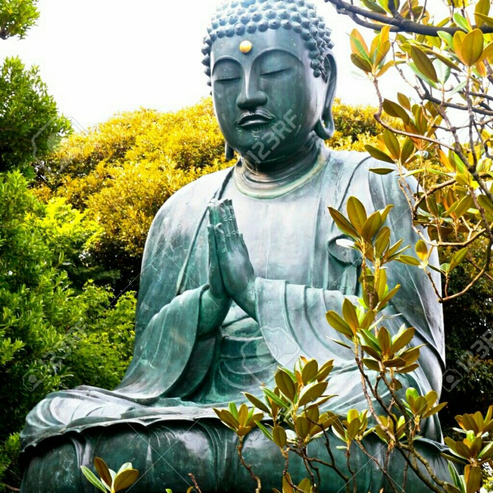 Meet your Posher, Silvia