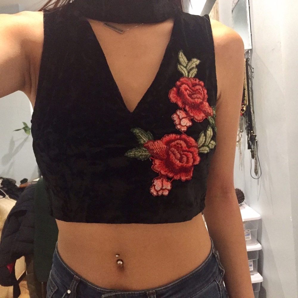 Velvet Rose Embroidered Crop Top