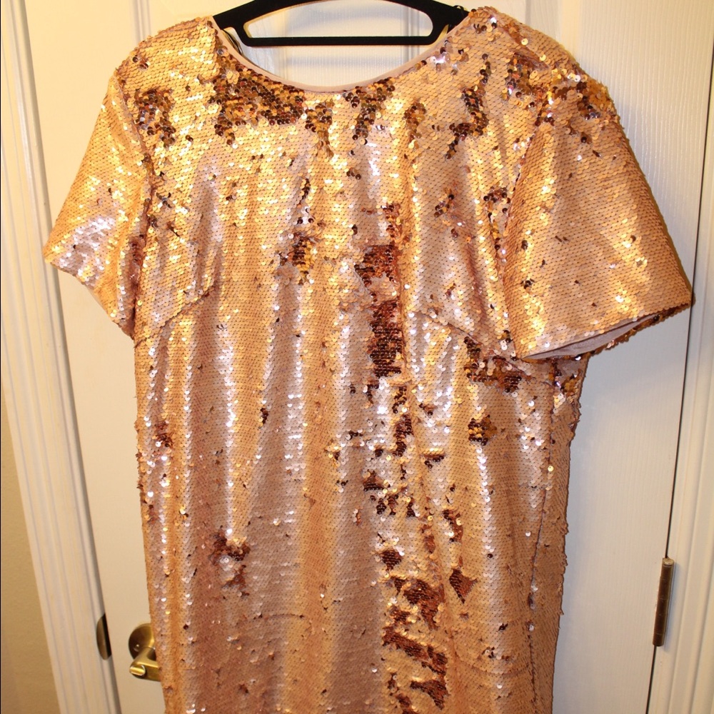 Blush Sparkly Dress